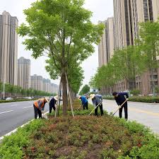 beat365 巴中市政绿化种植土单价